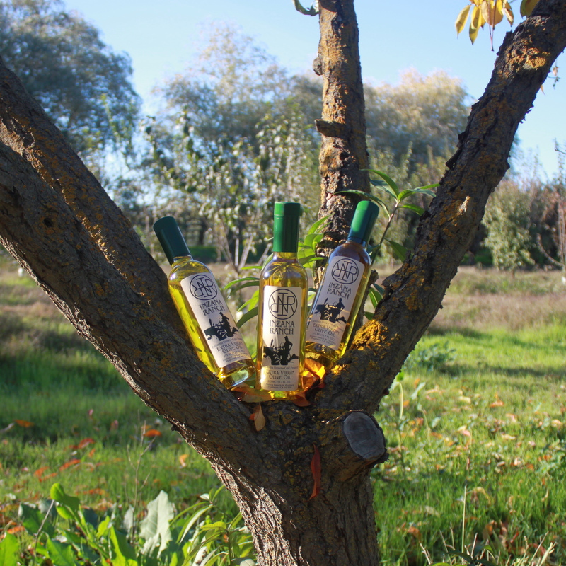 Olive Oil 12.7 oz (375 ML)-0