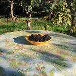 Organic Red Flame Raisins 1 lb-114