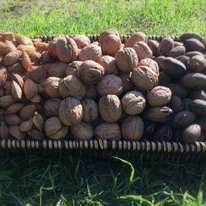 Organic In-shell Almonds 5 lbs-0